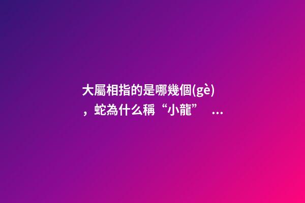 大屬相指的是哪幾個(gè)，蛇為什么稱“小龍”、